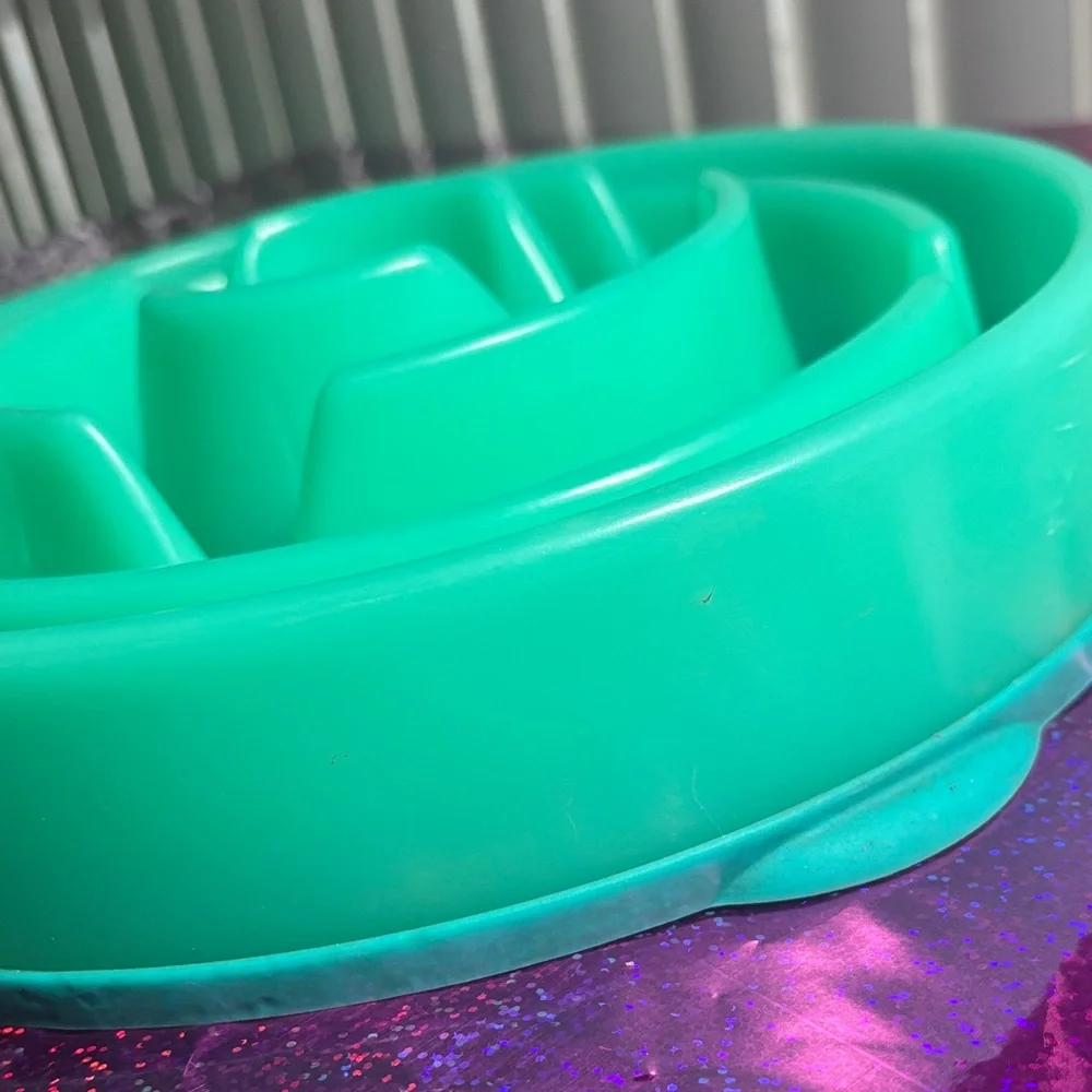Green Slow Feeder Dog Bowl
